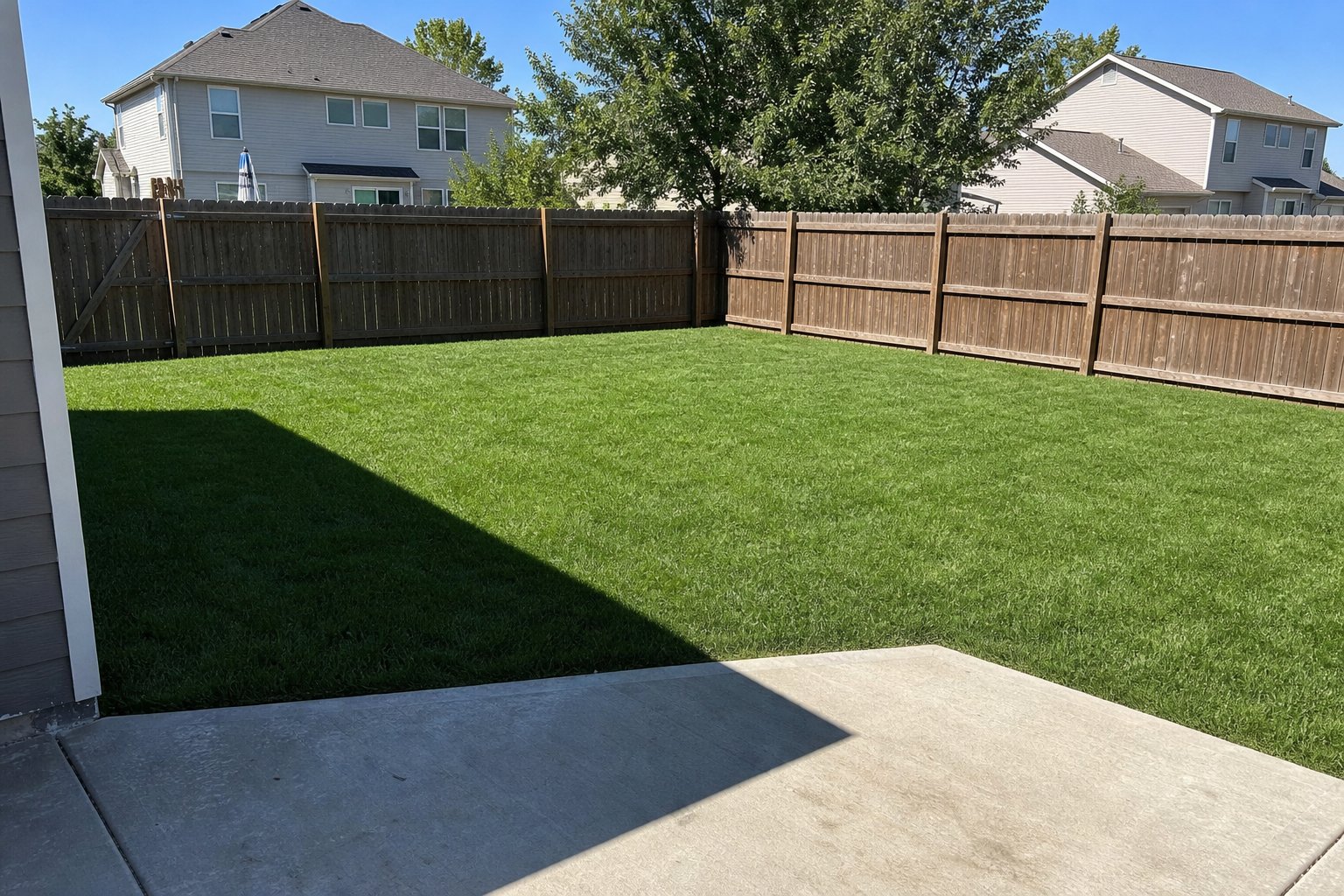 After professional lawn care