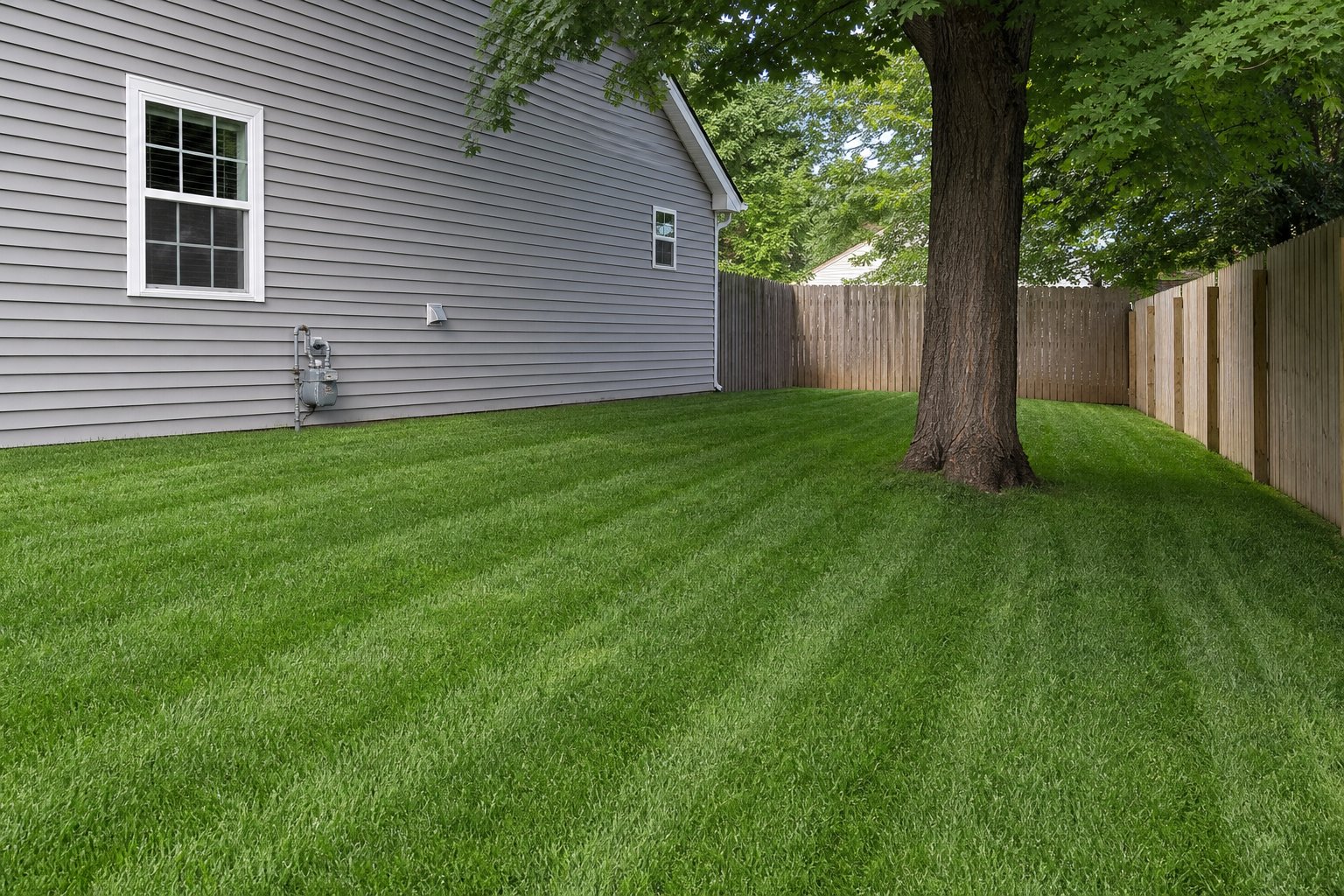 After professional lawn care