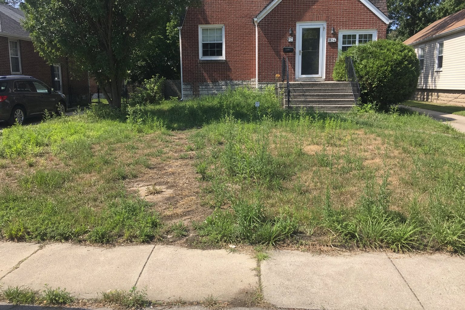 Before lawn care service