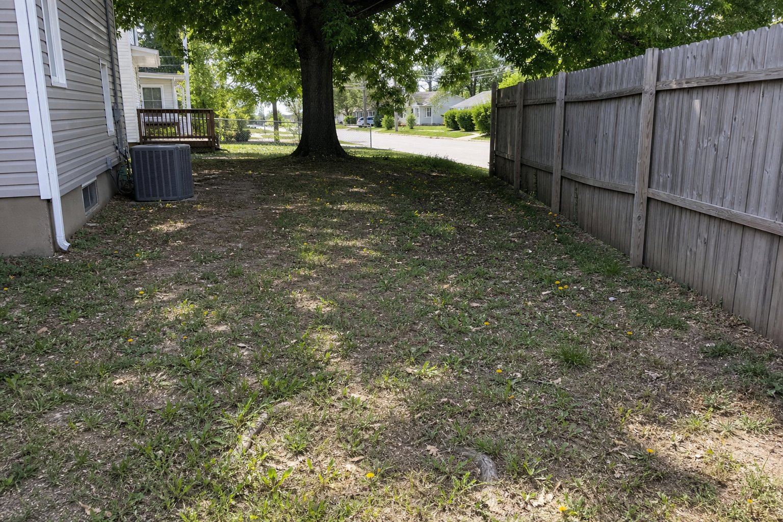 Before lawn care service
